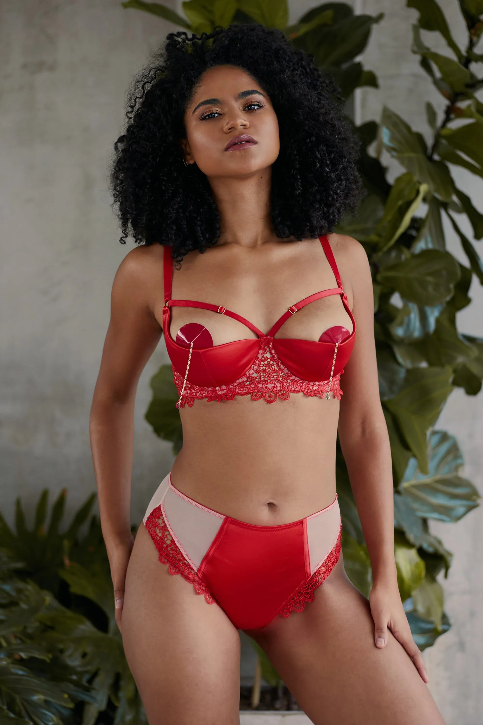 Anaise Red Highwaist Brief