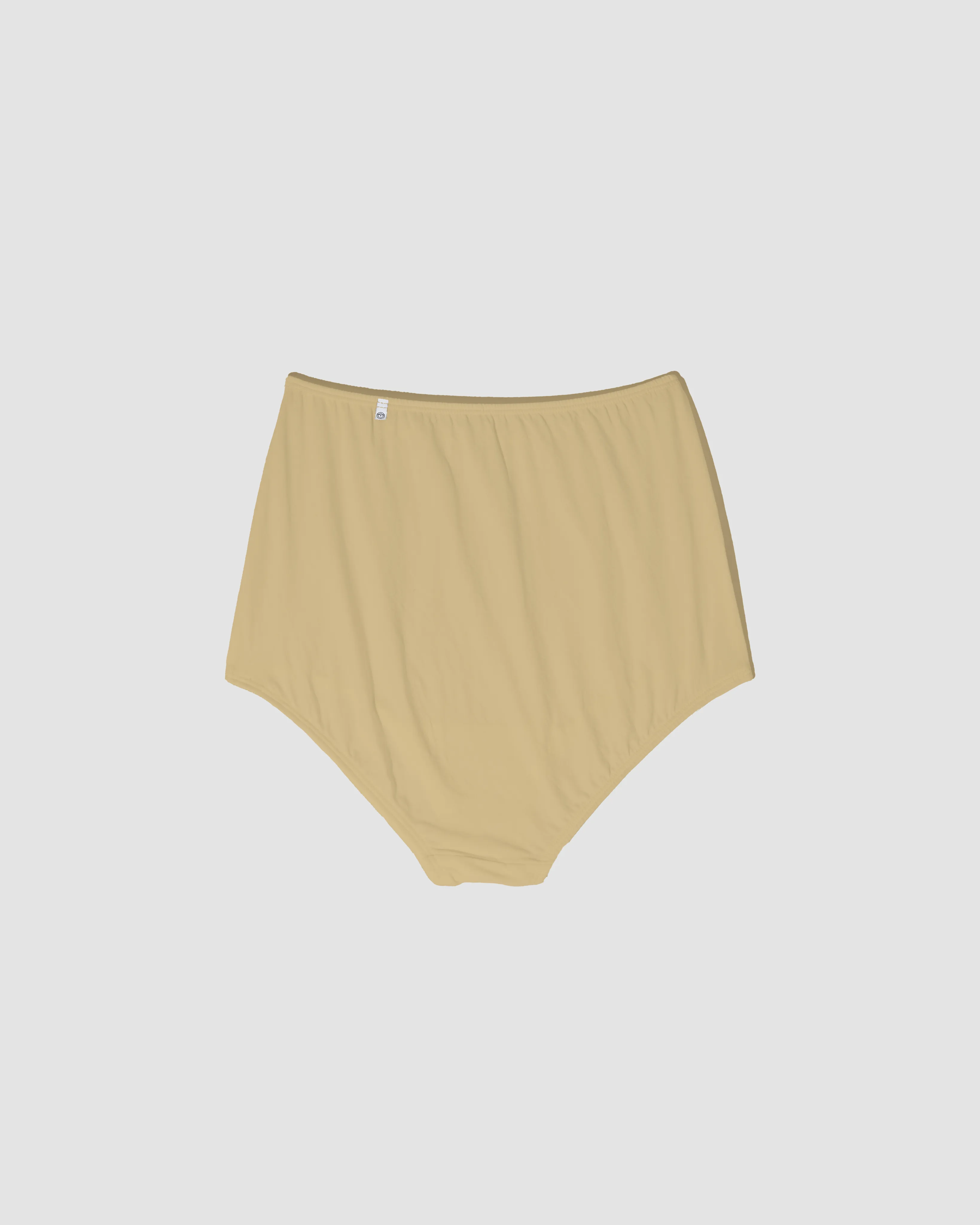 High-waisted brief