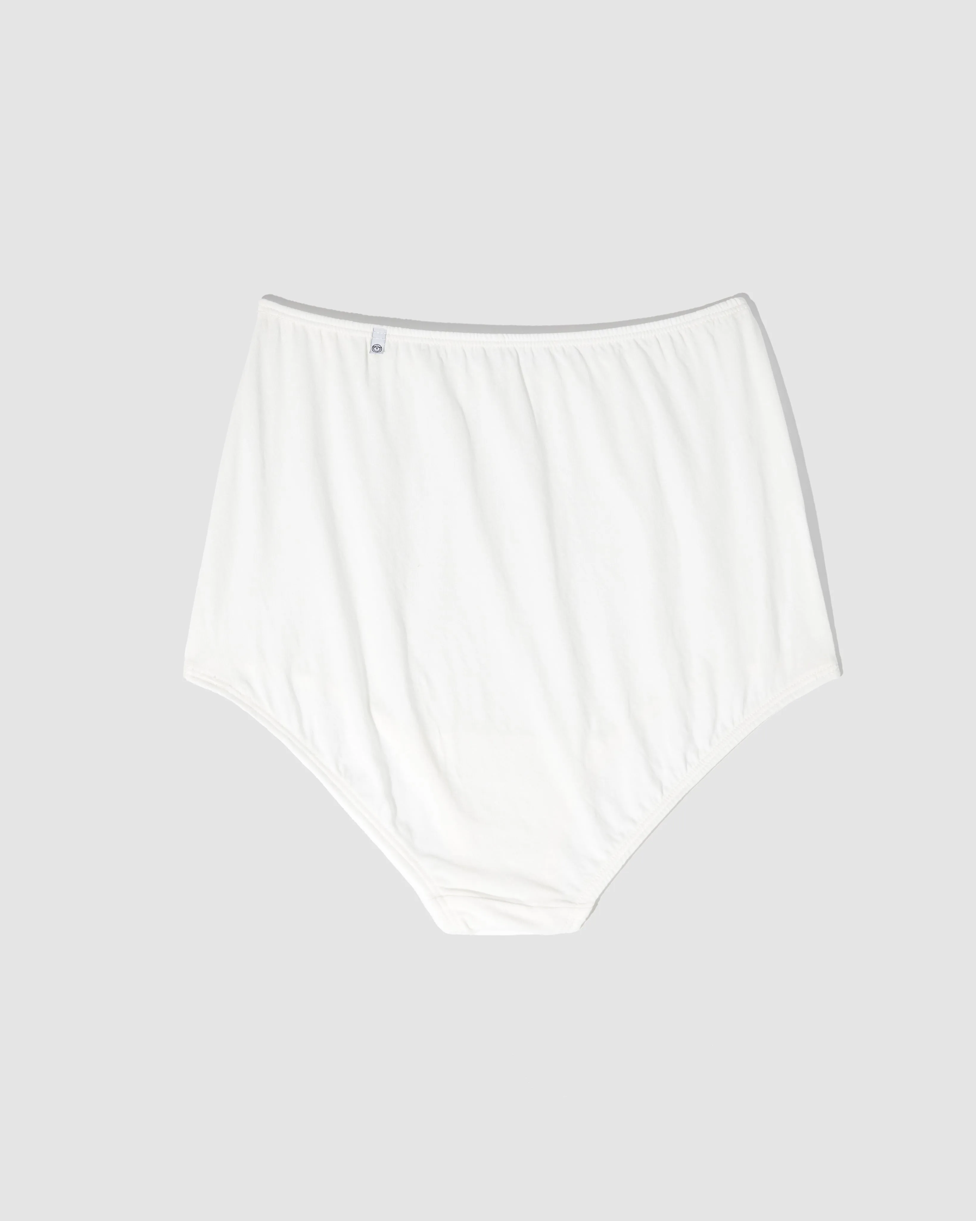 High-waisted brief