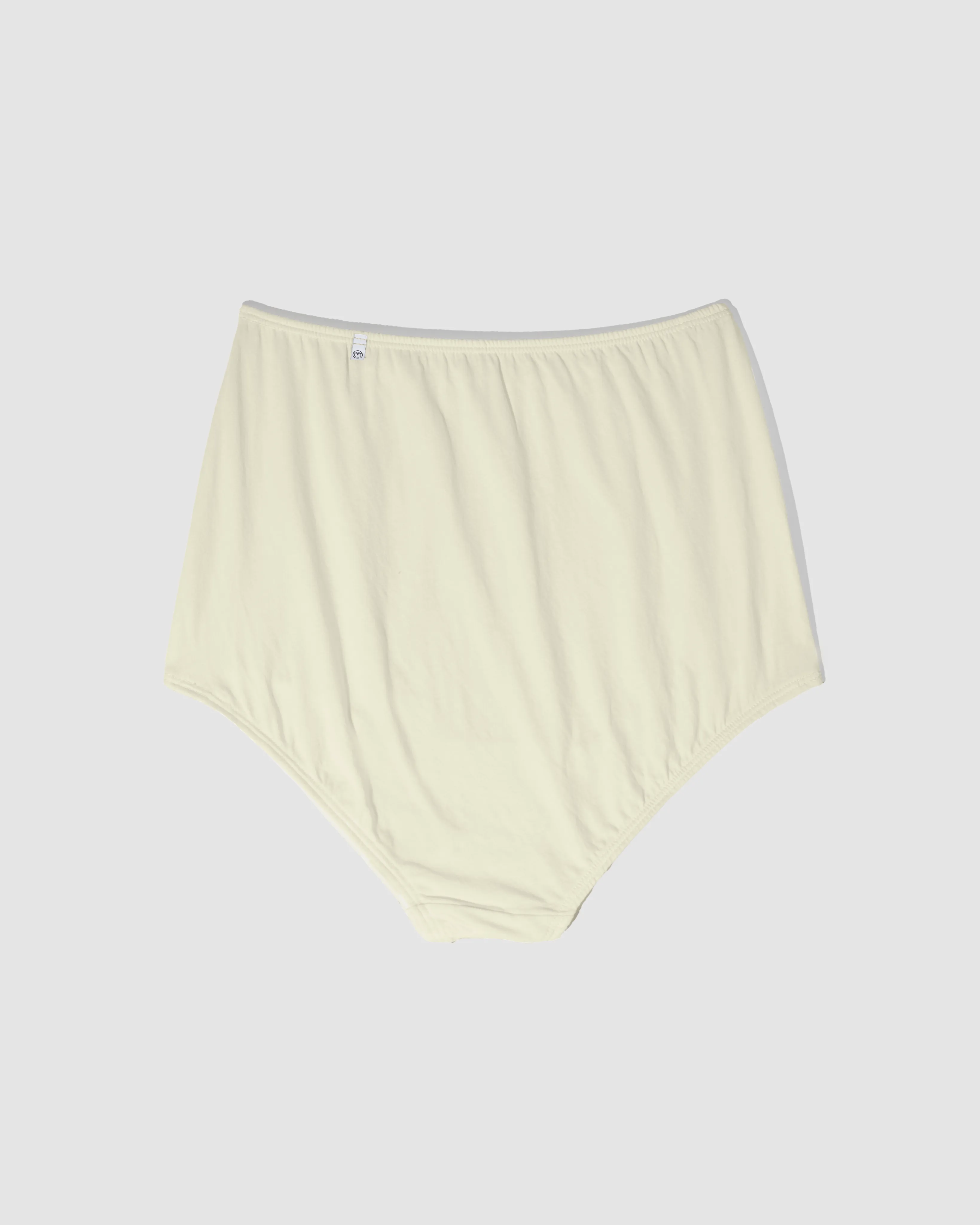 High-waisted brief