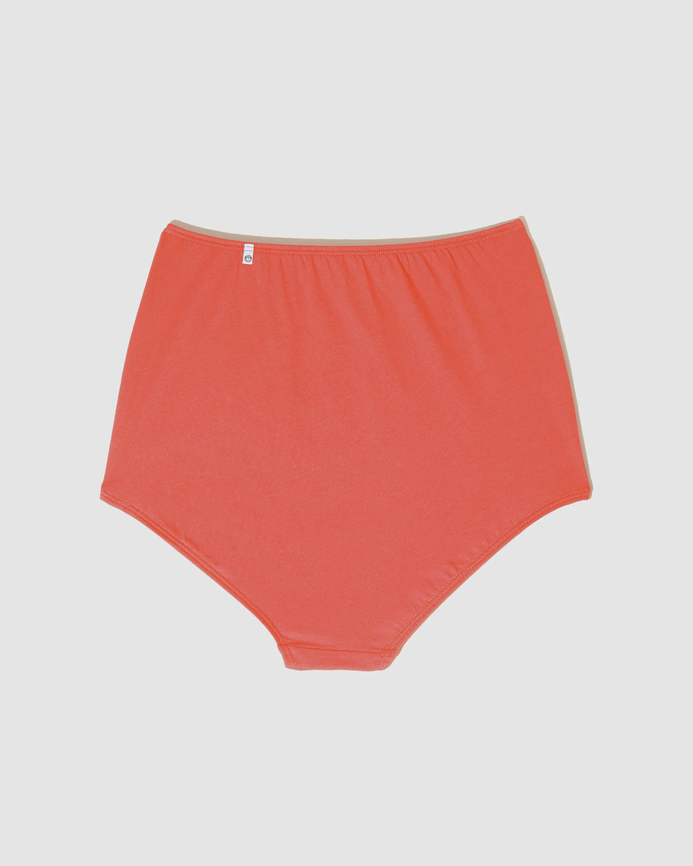 High-waisted brief