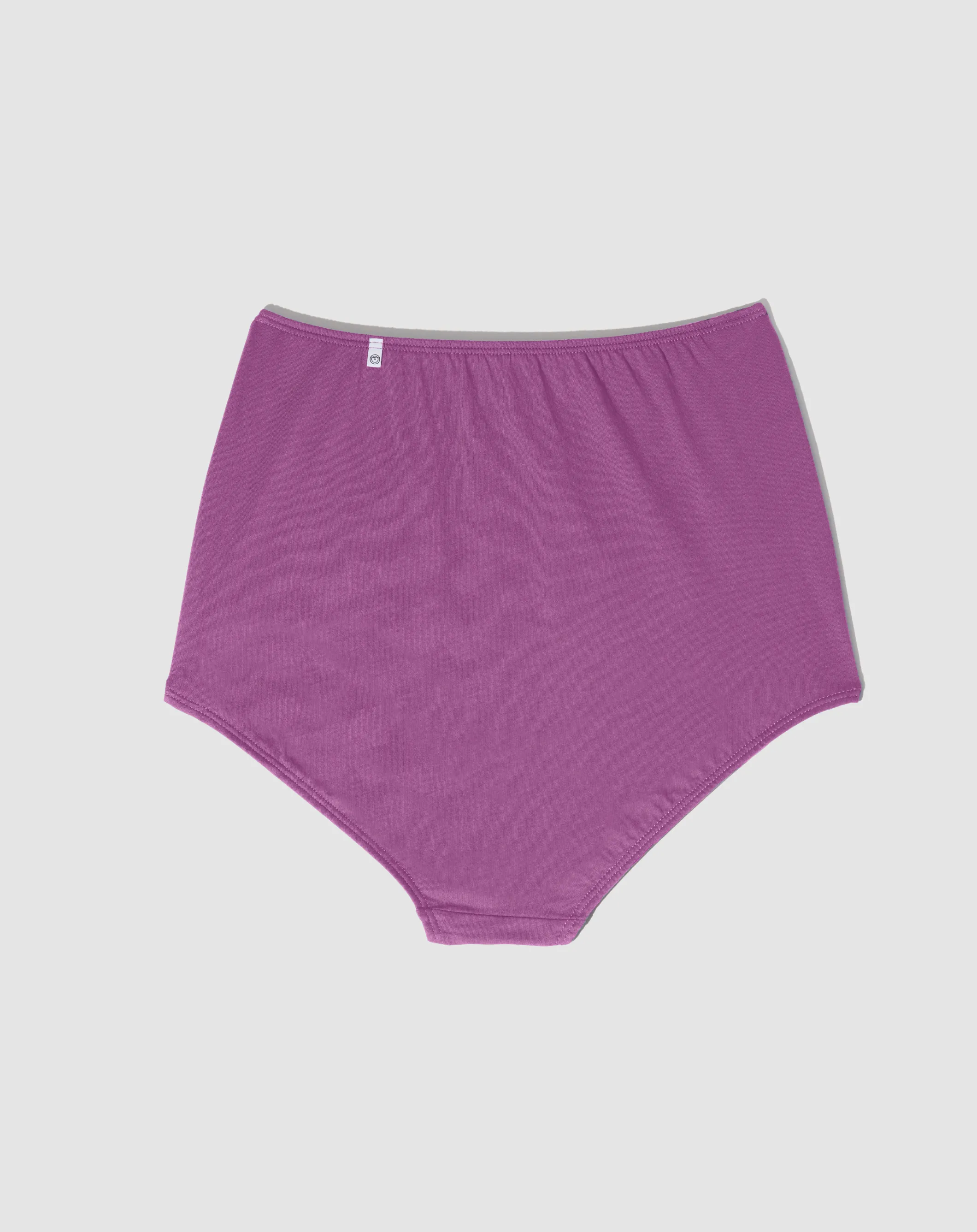 High-waisted brief